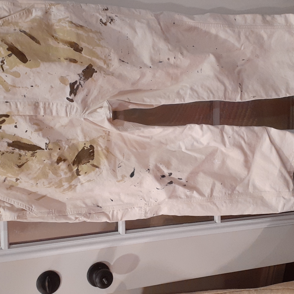 Dixie Splattered Overalls - image 4